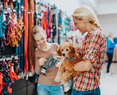 Trusted Good Petshop for Your Pets littlest pet shop littlest pet shop show jollyes pet shop littlest pet shop advent calendar fish pet shop near me littlest pet shop game online pet shop go west pet shop boys